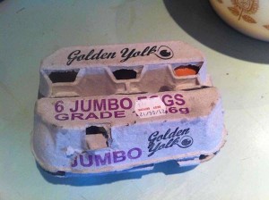 eggs in a carton