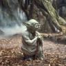 Yoda